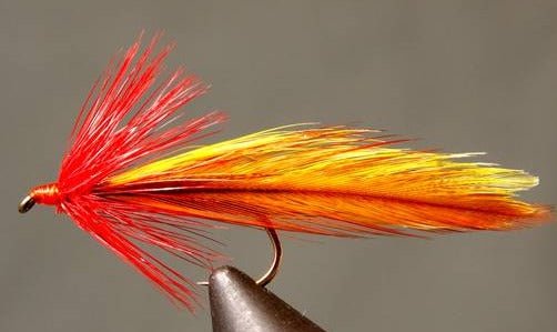 Platte River Special - Get Tight Gear