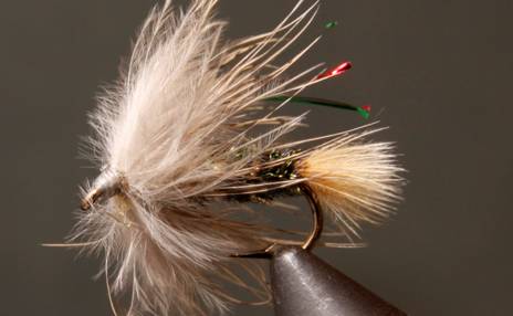 Prince - Sparkle (Soft Hackle) - Get Tight Gear