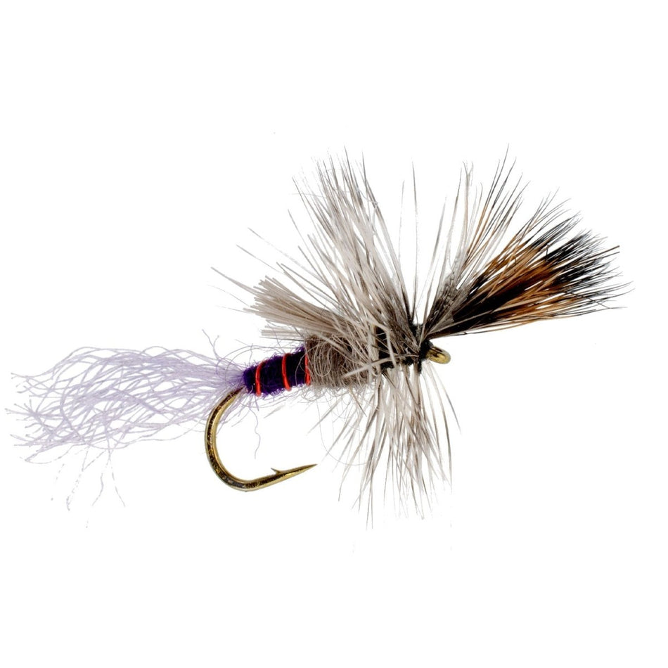 Purple Haze Cripple Mayfly 12 Flies Hook Size 18 - Get Tight Gear