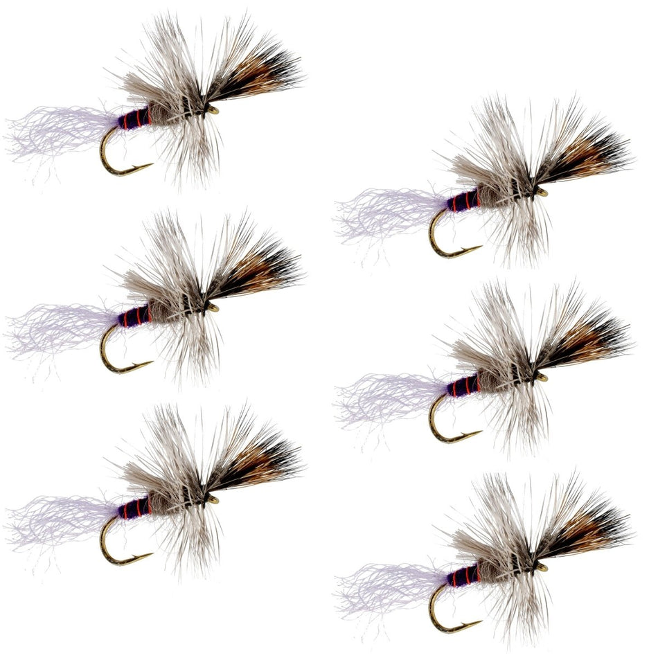 Purple Haze Cripple Mayfly 6 Flies Hook Size 18 - Get Tight Gear