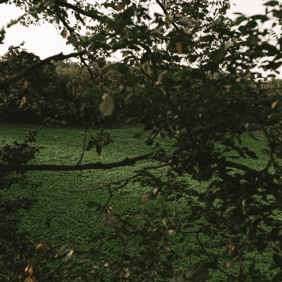 Radish+ - Get Tight Gear