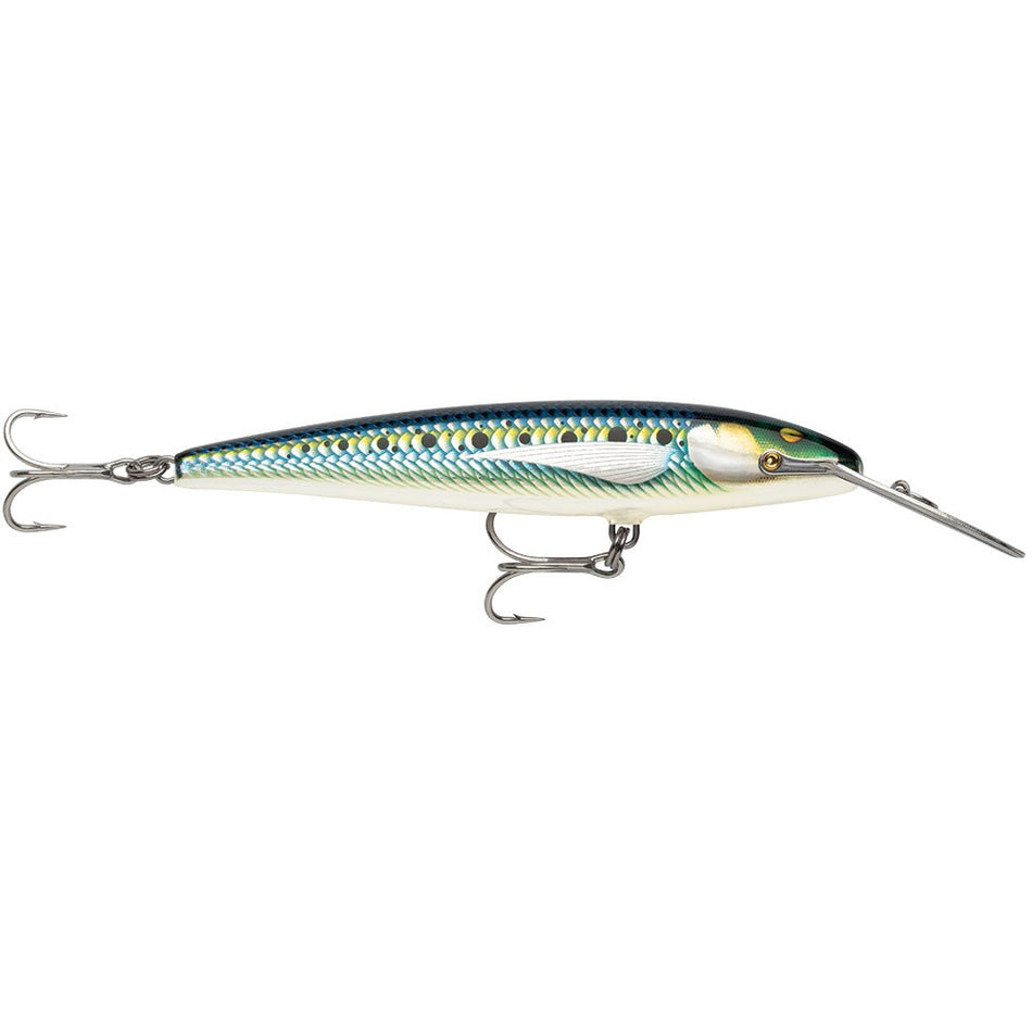 Rapala CountDown Magnum Elite 145 - 5 - 3/4" - Armored Sardine - Get Tight Gear
