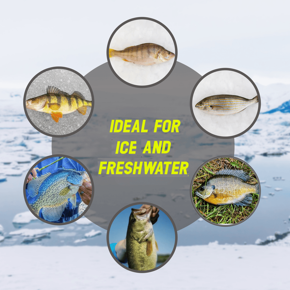 Reaction Tackle Ice Fishing Jigs - Get Tight Gear