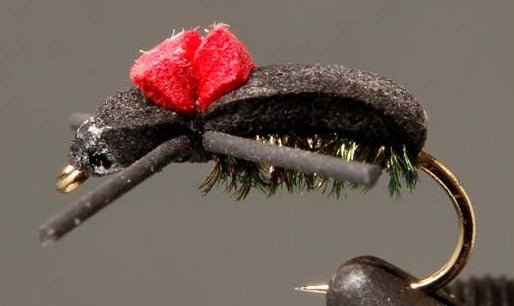 Red Top - Black Foam Beetle - Get Tight Gear