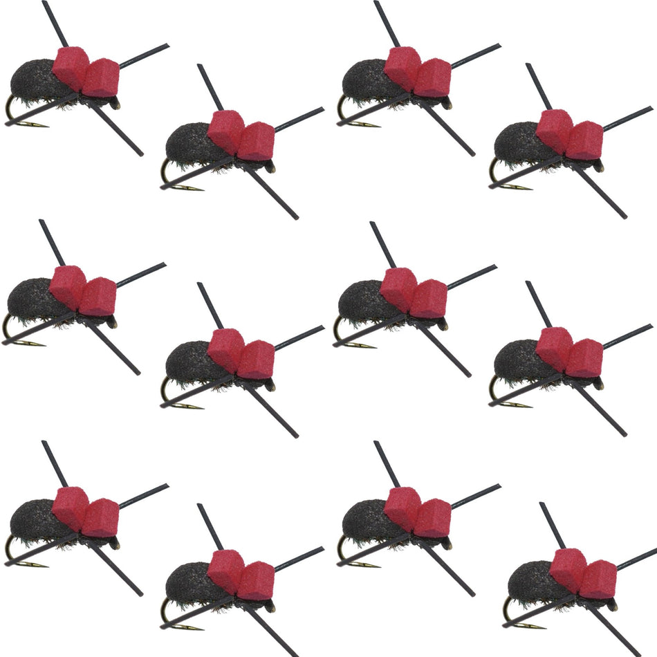 Red Top Black Foam Beetle Terrestrial Trout Dry Fly Fishing Flies - 1 Dozen Flies Size 14 - Get Tight Gear