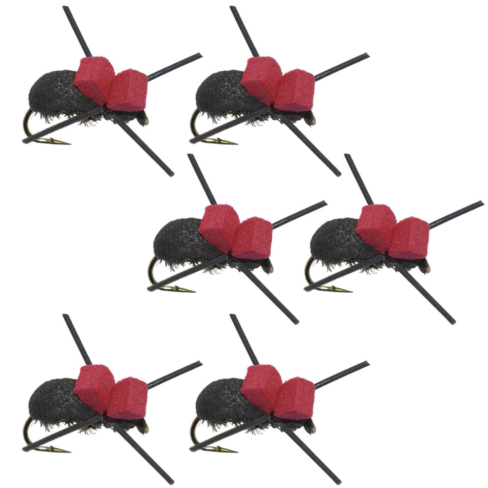 Red Top Black Foam Beetle Terrestrial Trout Dry Fly Fishing Flies - 6 Flies Size 14 - Get Tight Gear