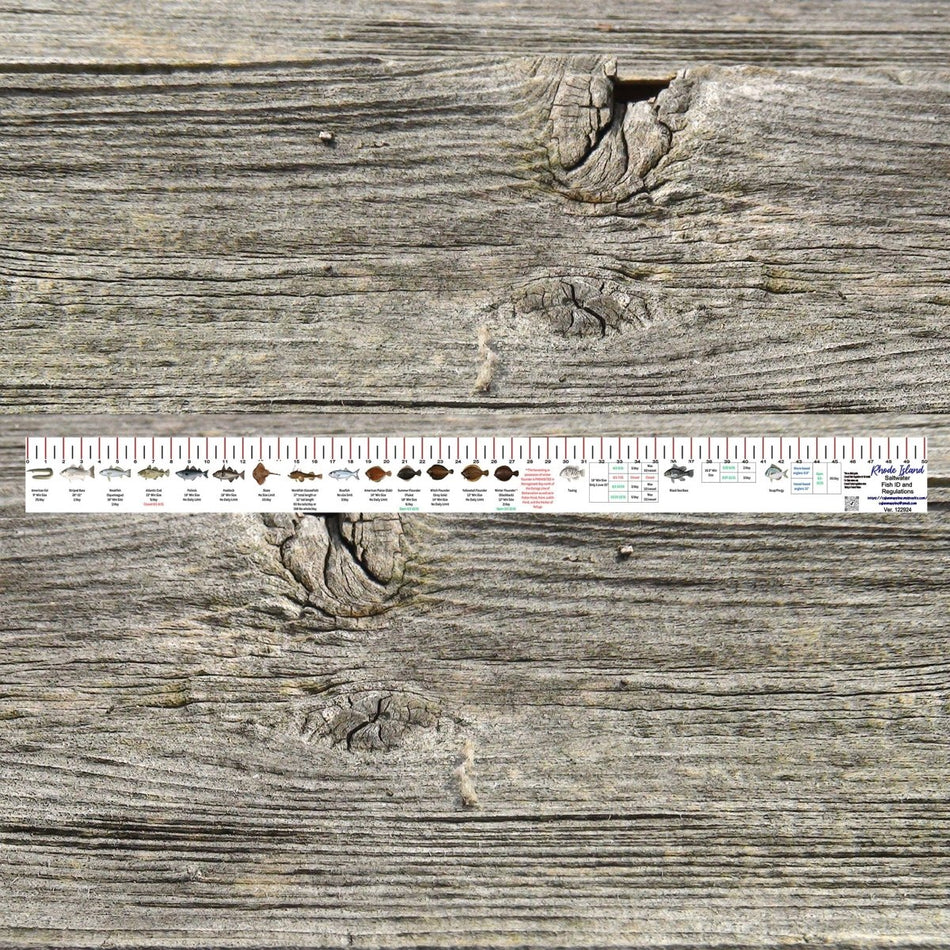 RHODE ISLAND SALT WATER RULER 50 INCH FISH ID AND STATE REGULATIONS FISH RULER DECAL - Get Tight Gear