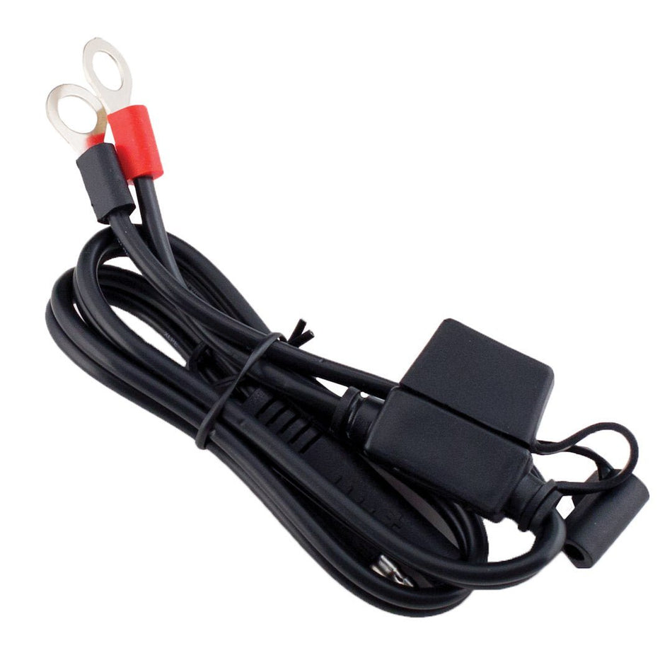 RING TERMINALS QCK DISC - Get Tight Gear
