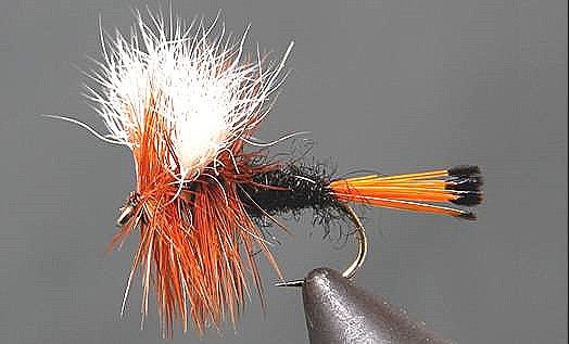 Rio Grand King Wulff - Get Tight Gear