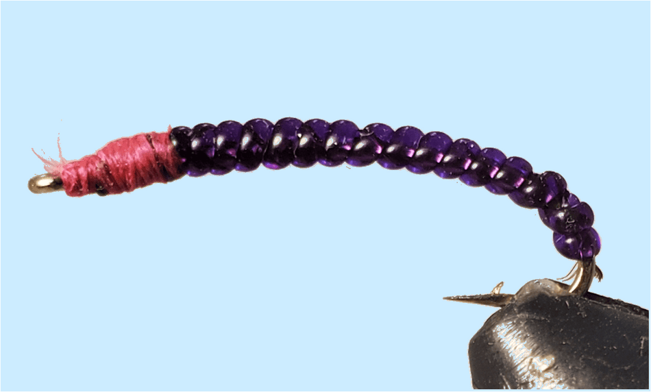 Rock Worm / Annelid - Red or Purple - Get Tight Gear