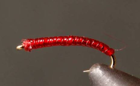 Rock Worm / Annelid - Red or Purple - Get Tight Gear