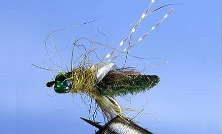 Rocky Mtn. Caddis - 5 Colors - Get Tight Gear