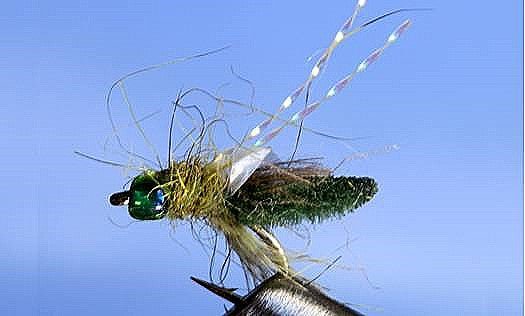 Rocky Mtn. Caddis - 5 Colors - Get Tight Gear