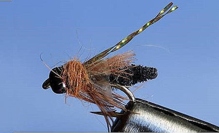 Rocky Mtn. Caddis - 5 Colors - Get Tight Gear