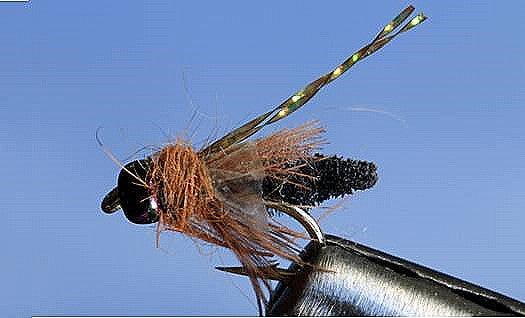 Rocky Mtn. Caddis - 5 Colors - Get Tight Gear