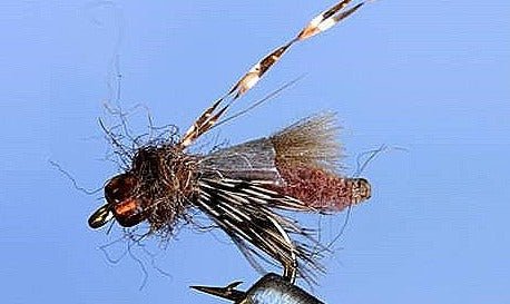 Rocky Mtn. Caddis - 5 Colors - Get Tight Gear