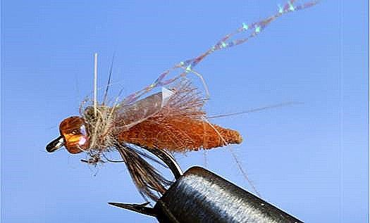 Rocky Mtn. Caddis - 5 Colors - Get Tight Gear