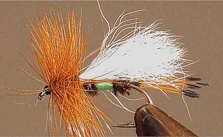 Royal Coachman Trude (Lime) - Get Tight Gear