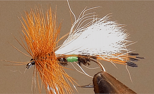 Royal Coachman Trude (Lime) - Get Tight Gear