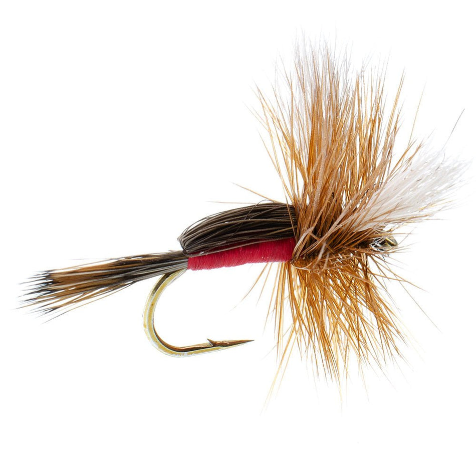 Royal Humpy Classic Hair Wing Dry Fly - 1 Dozen Flies Hook Size 8 - Get Tight Gear