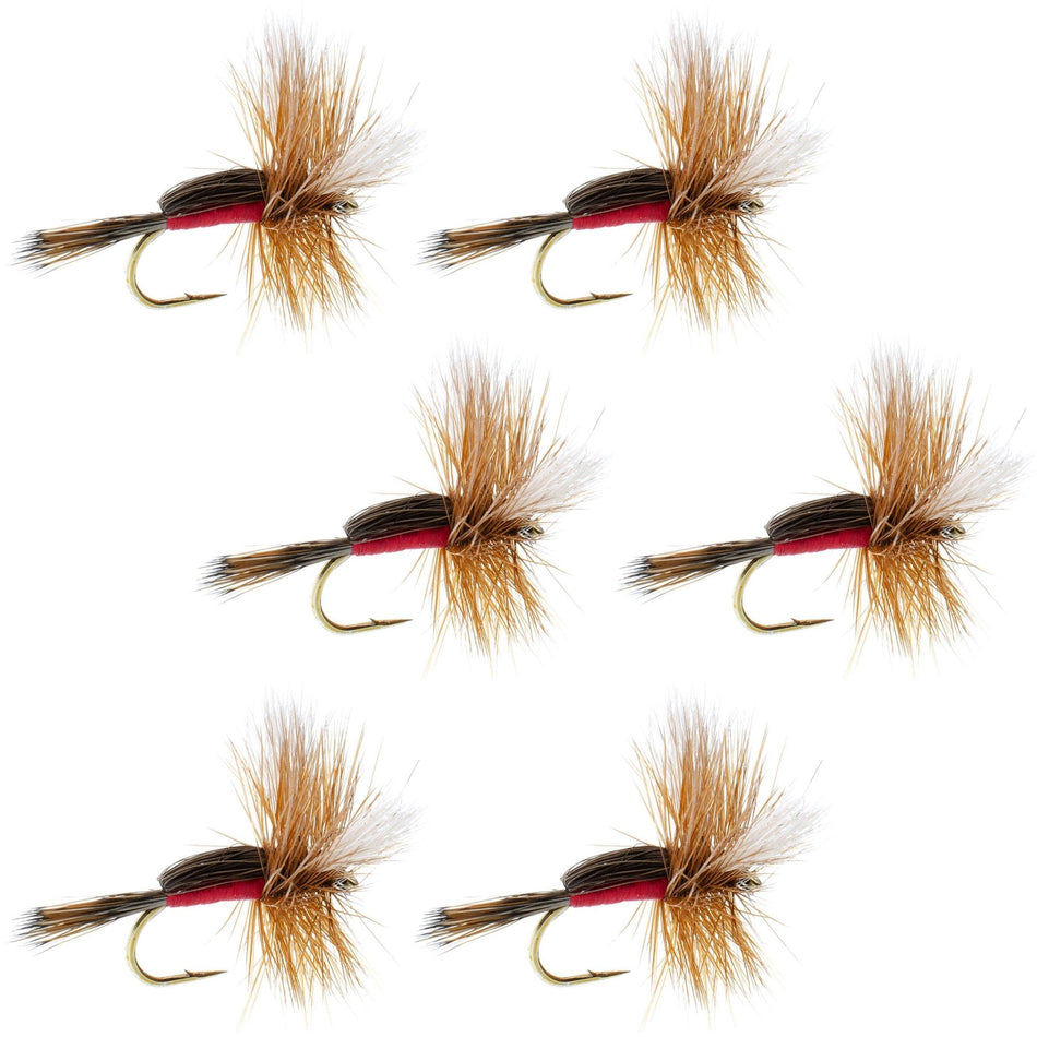 Royal Humpy Classic Hair Wing Dry Fly - 6 Flies Hook Size 16 - Get Tight Gear
