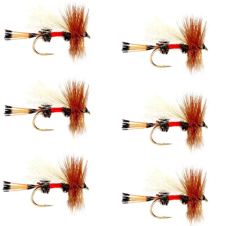 Royal Trude Classic Hair Wing Dry Fly - 6 Flies Hook Size 12 - Get Tight Gear