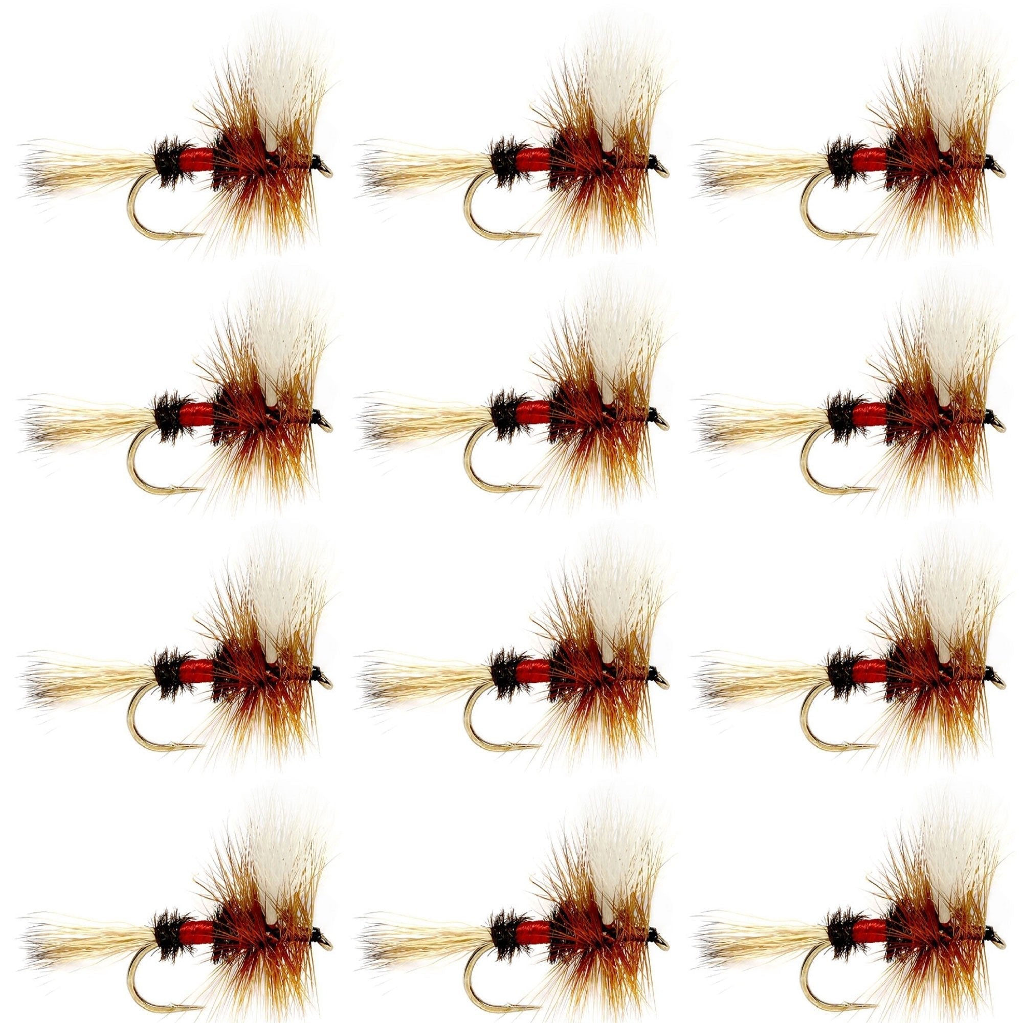 Royal Wulff Classic Trout Dry Fly Fishing Flies - Set of 12 Flies Size 10 - One Dozen - Get Tight Gear