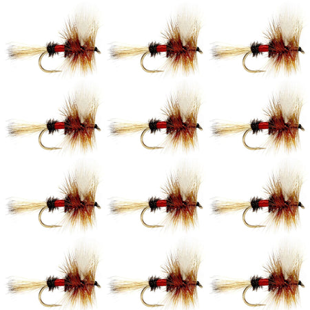 Royal Wulff Classic Trout Dry Fly Fishing Flies - Set of 12 Flies Size 10 - One Dozen - Get Tight Gear