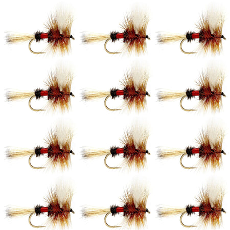 Royal Wulff Classic Trout Dry Fly Fishing Flies - Set of 12 Flies Size 12 - One Dozen - Get Tight Gear