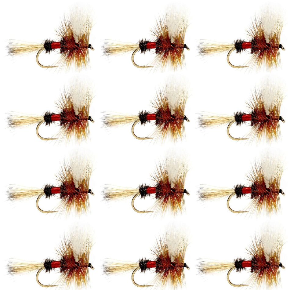 Royal Wulff Classic Trout Dry Fly Fishing Flies - Set of 12 Flies Size 14 - One Dozen - Get Tight Gear