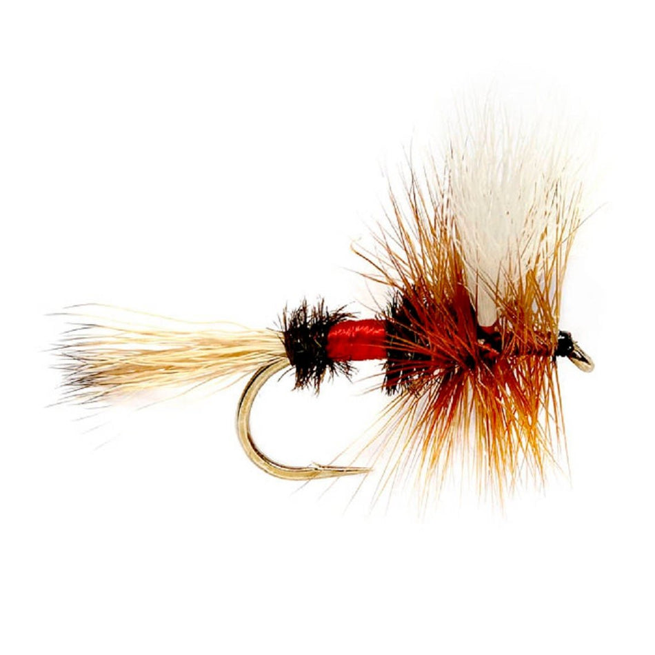 Royal Wulff Classic Trout Dry Fly Fishing Flies - Set of 12 Flies Size 14 - One Dozen - Get Tight Gear
