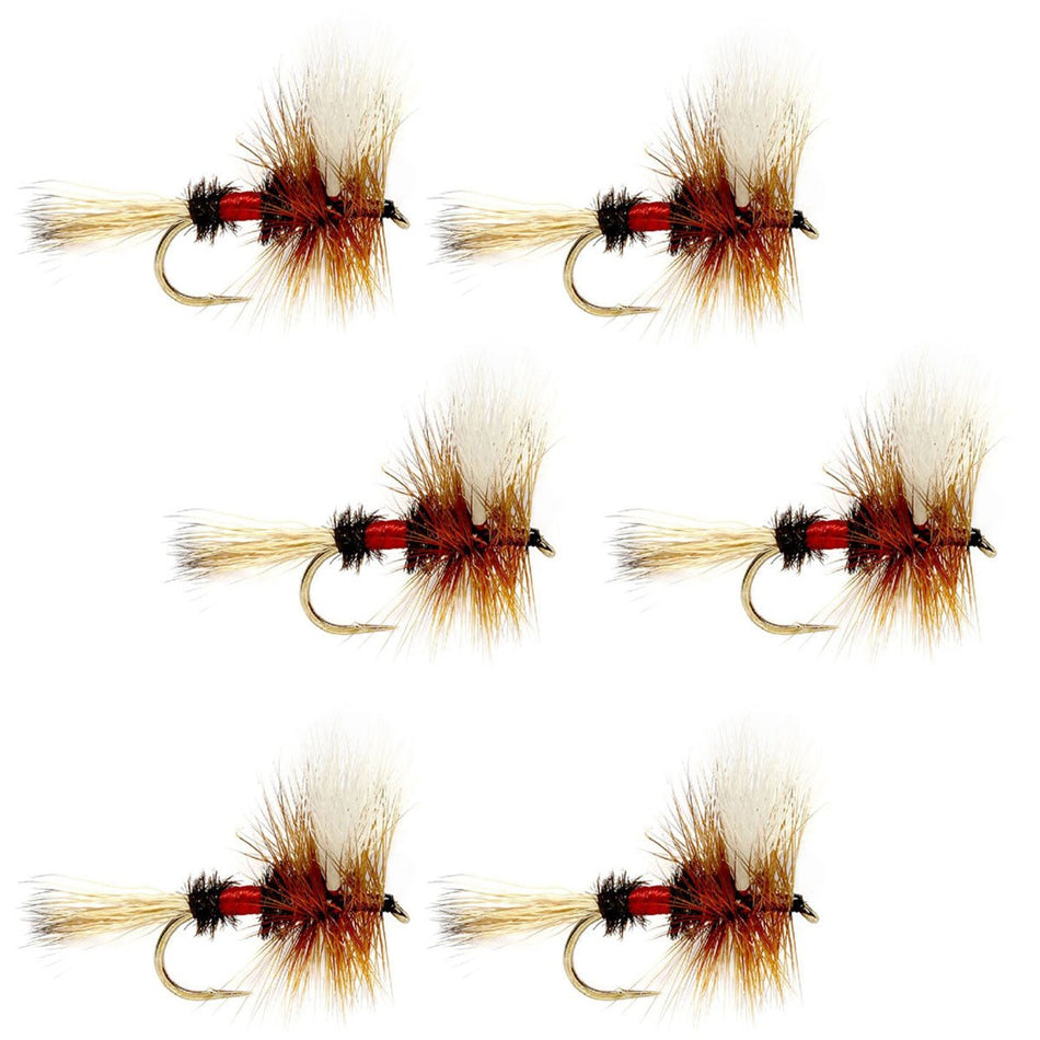 Royal Wulff Classic Trout Dry Fly Fishing Flies - Set of 6 Flies Size 14 - Get Tight Gear