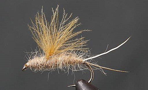 RS2 Emergers - Olive or Tan - Get Tight Gear