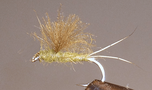 RS2 Emergers - Olive or Tan - Get Tight Gear