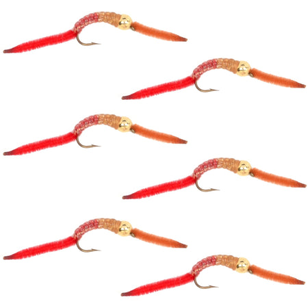 San Juan Worm Gold Bead Power Worm Half and Half - Set of 6 Nymph Flies Hook Size 14 - Get Tight Gear