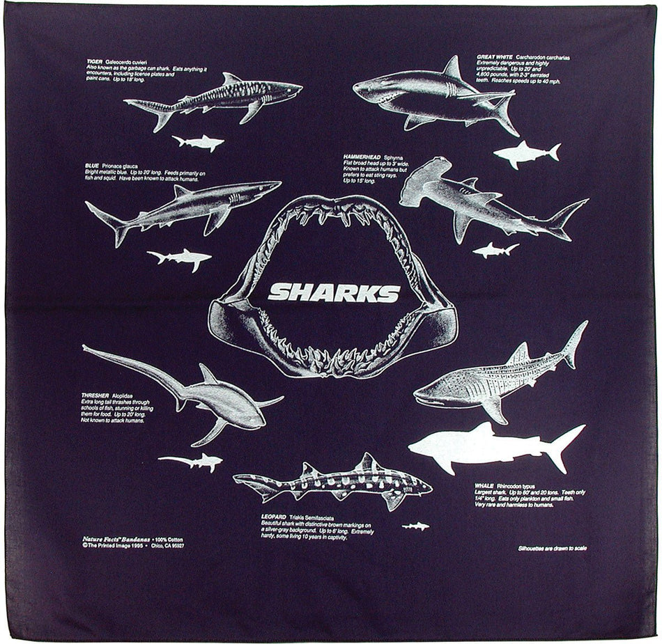 Sharks Bandana - Get Tight Gear