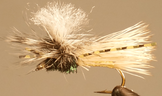 Silly Hopper - Get Tight Gear