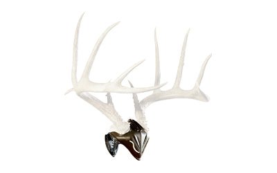 SKULL HOOKER BONE/SKULL BRACKET BLK - Get Tight Gear