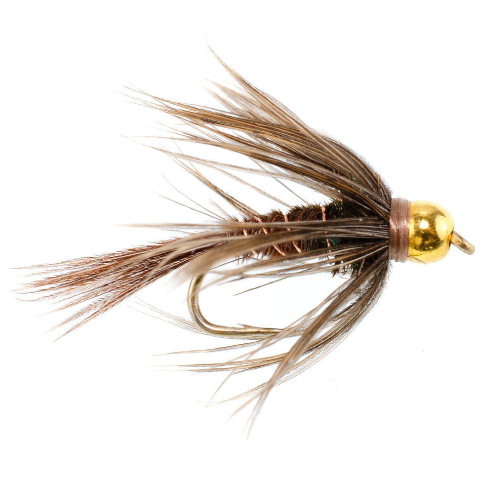 Soft Hackle Bead Head Pheasant Tail Nymph Fly Fishing Flies - 6 Flies Hook Size 12 - Get Tight Gear