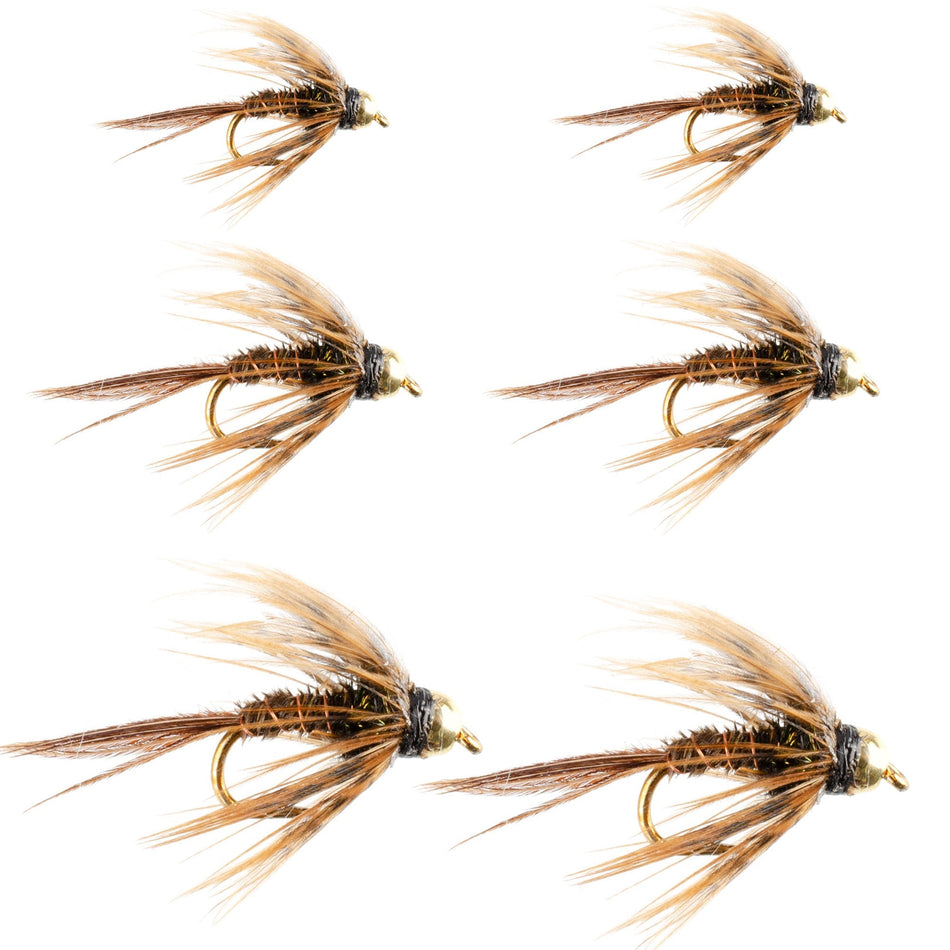 Soft Hackle Bead Head Pheasant Tail Nymph Fly Fishing Flies - 6 Flies Hook Size 12 - Get Tight Gear