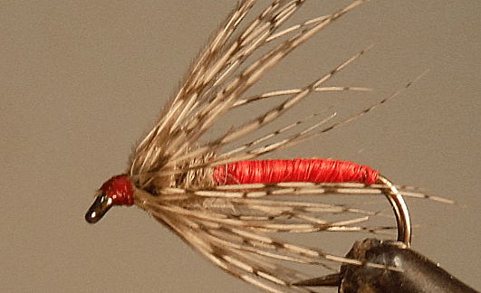 Soft Hackle Partridge - Get Tight Gear