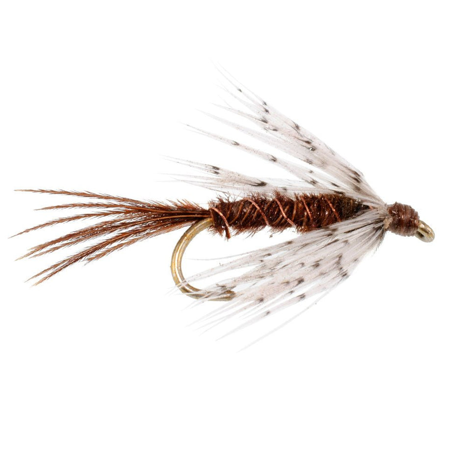 Soft Hackle Partridge and Pheasant Tail Fly Fishing Wet Flies - 6 Flies Hook Size 16 - Get Tight Gear