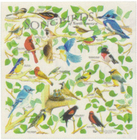 Songbirds Bandana - Get Tight Gear