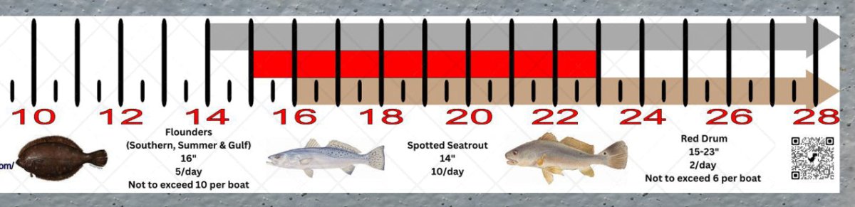 South Carolina Inshore Fishing Slot Ruler Decal - Get Tight Gear