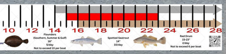 South Carolina Inshore Fishing Slot Ruler Decal - Get Tight Gear