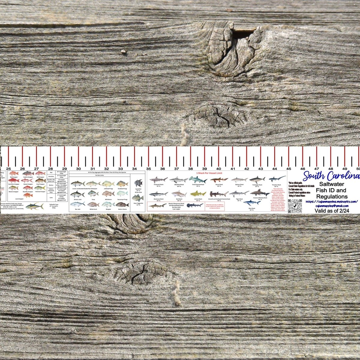 SOUTH CAROLINA SALT WATER RULER 50 INCH FISH ID AND STATE REGULATIONS FISH RULER DECAL - Get Tight Gear