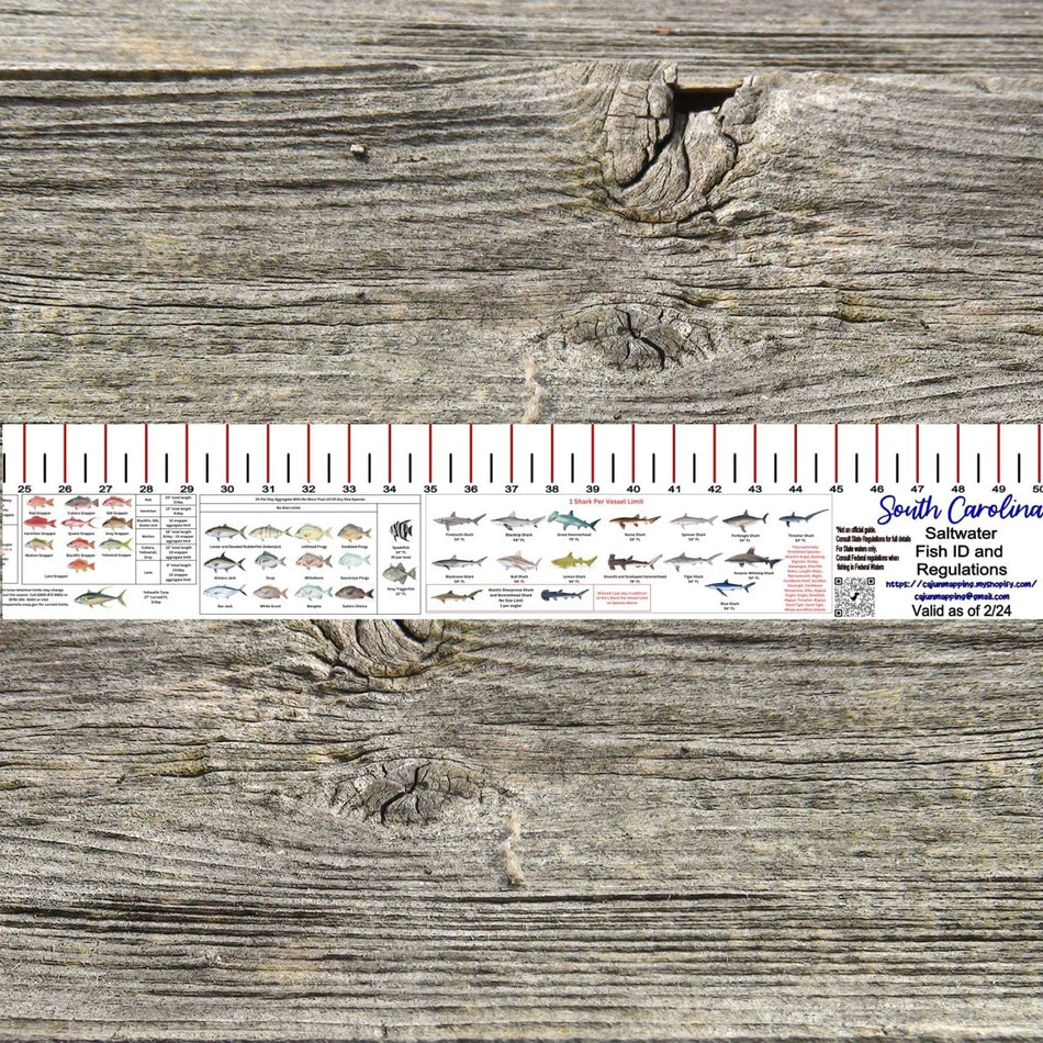 SOUTH CAROLINA SALT WATER RULER 50 INCH FISH ID AND STATE REGULATIONS FISH RULER DECAL - Get Tight Gear