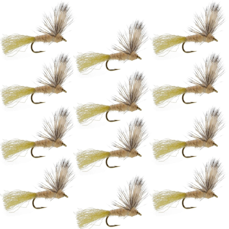 Sparkle Dun Callibaetis Mayfly - 12 Flies Hook size 16 - Get Tight Gear