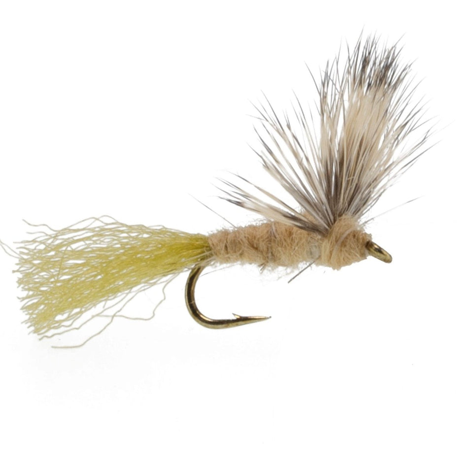 Sparkle Dun Callibaetis Mayfly - 6 Flies Hook size 16 - Get Tight Gear