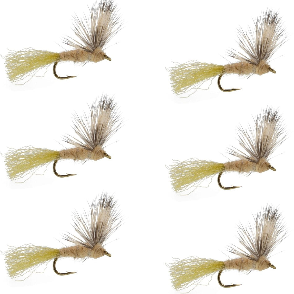 Sparkle Dun Callibaetis Mayfly - 6 Flies Hook size 16 - Get Tight Gear